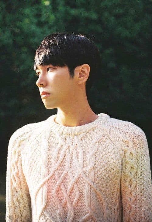 레터플로우