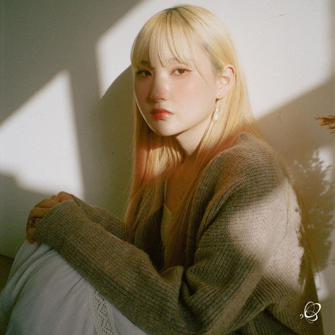 오넷
