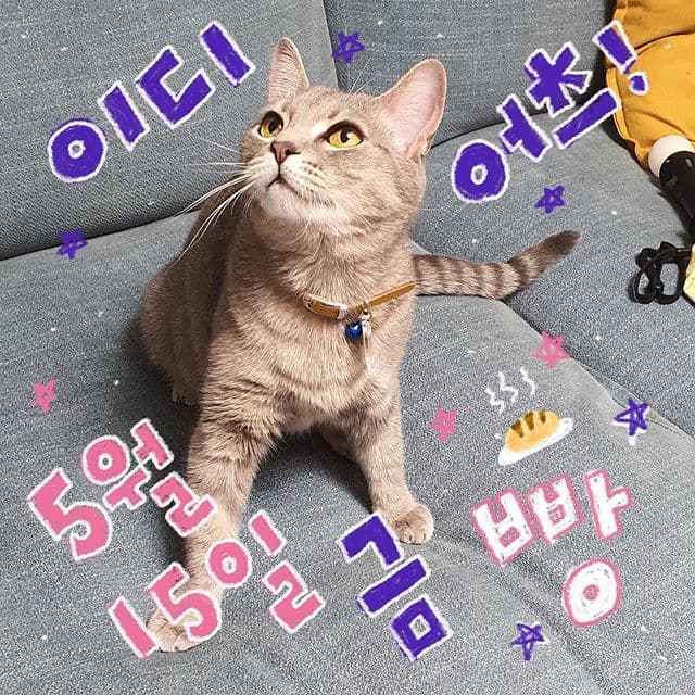 5월 빵 공연
