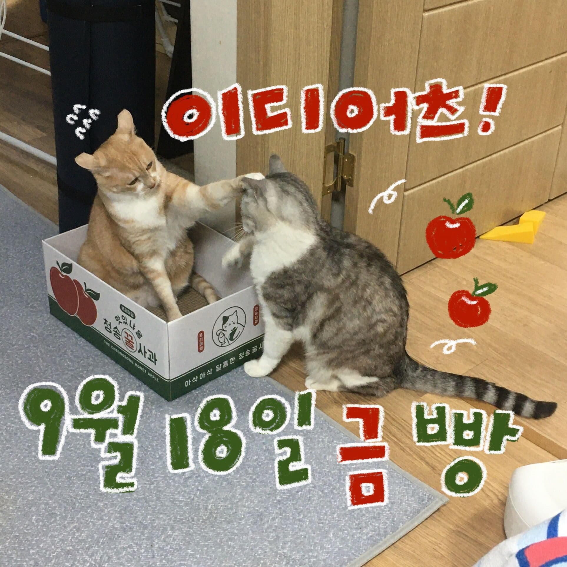 9월 빵 공연
