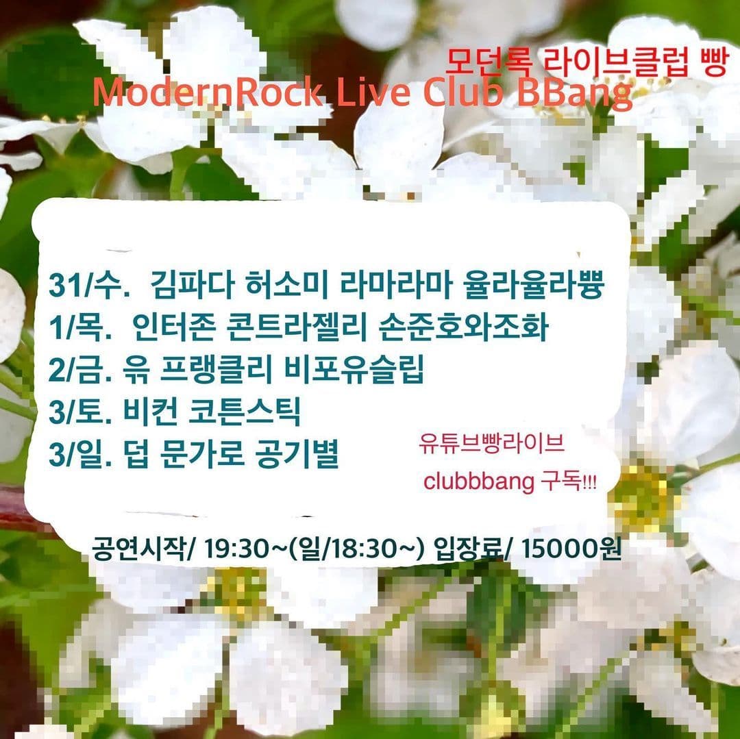 4월 클럽빵 공연