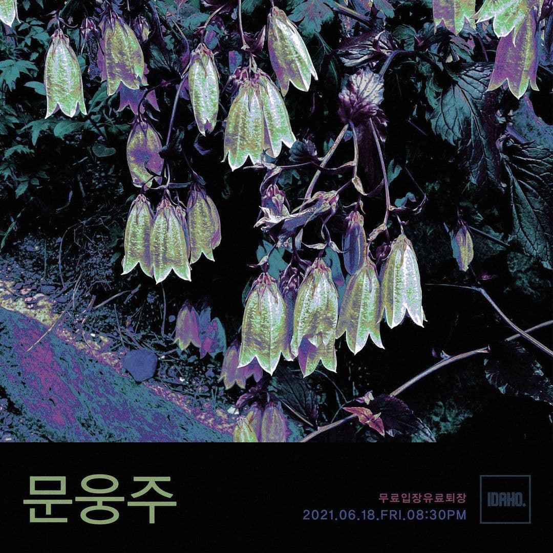 2021년 6월 18일 카페 아이다호 공연 - 문웅주