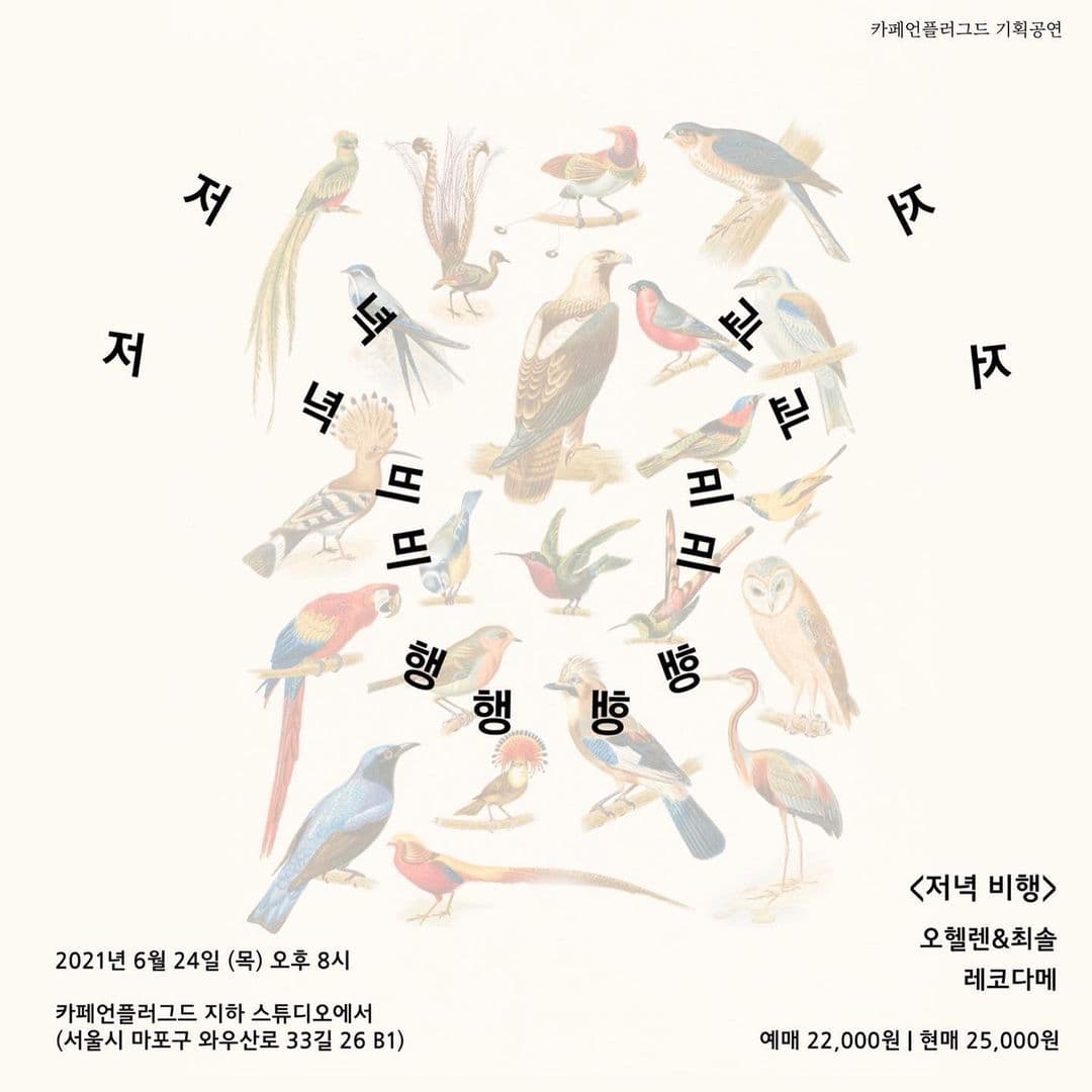 저녁비행