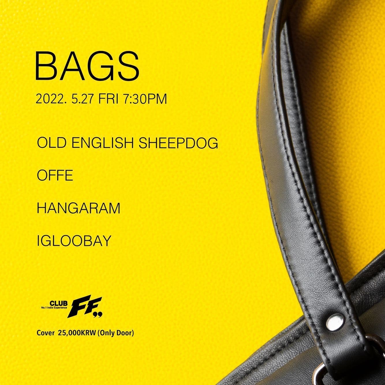 BAGS poster 2
