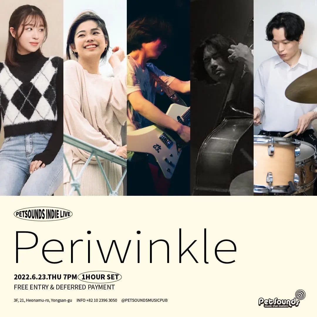 펫사운즈 인디라이브 - 페리윙클