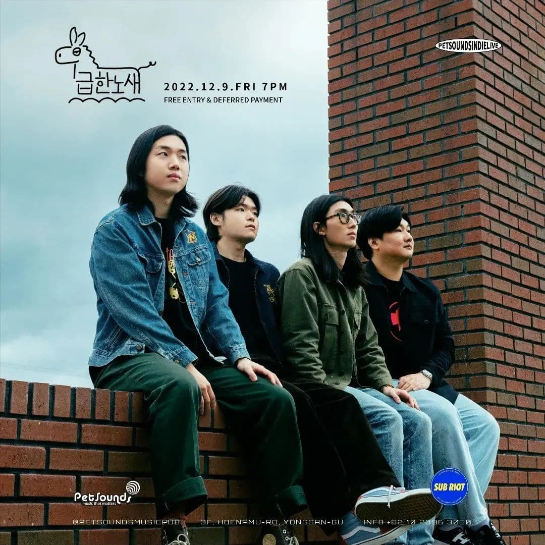 펫사운즈 인디라이브 - 급한노새, 선셋온더브릿지 poster 2