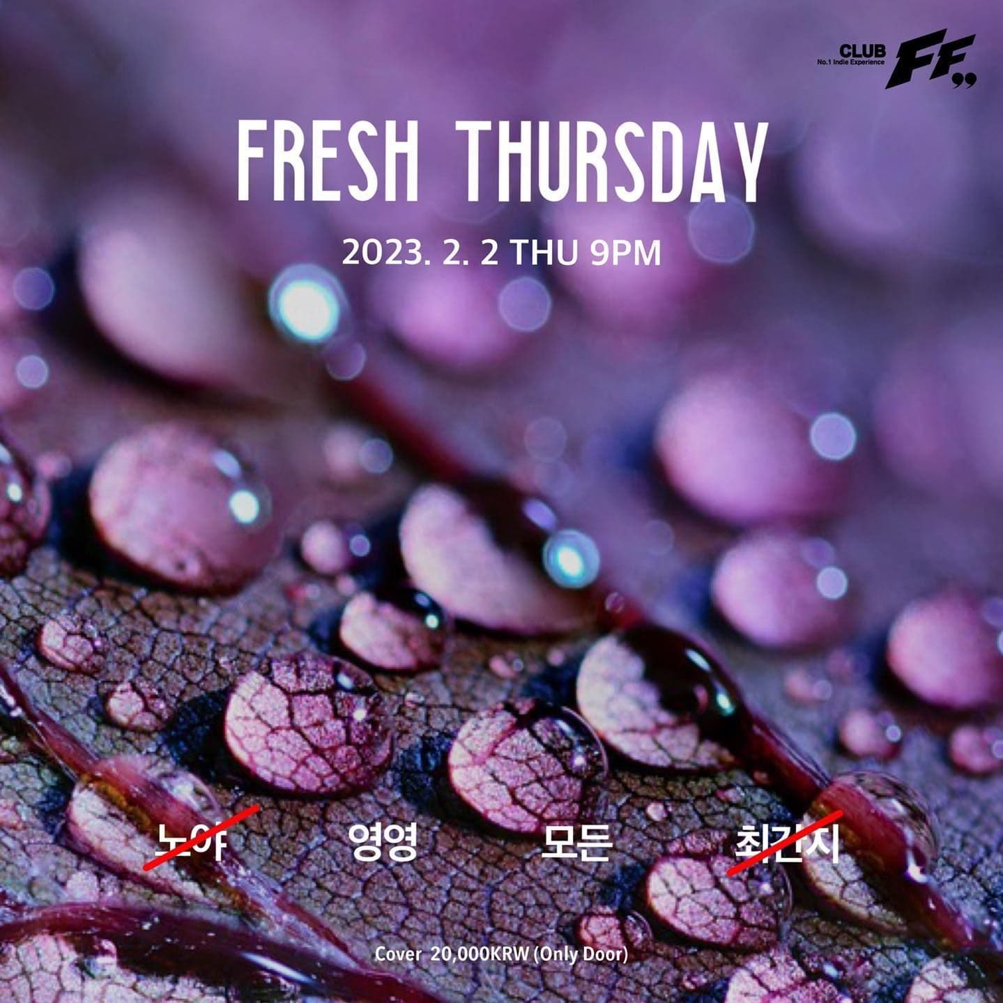 Fresh Thursdsy