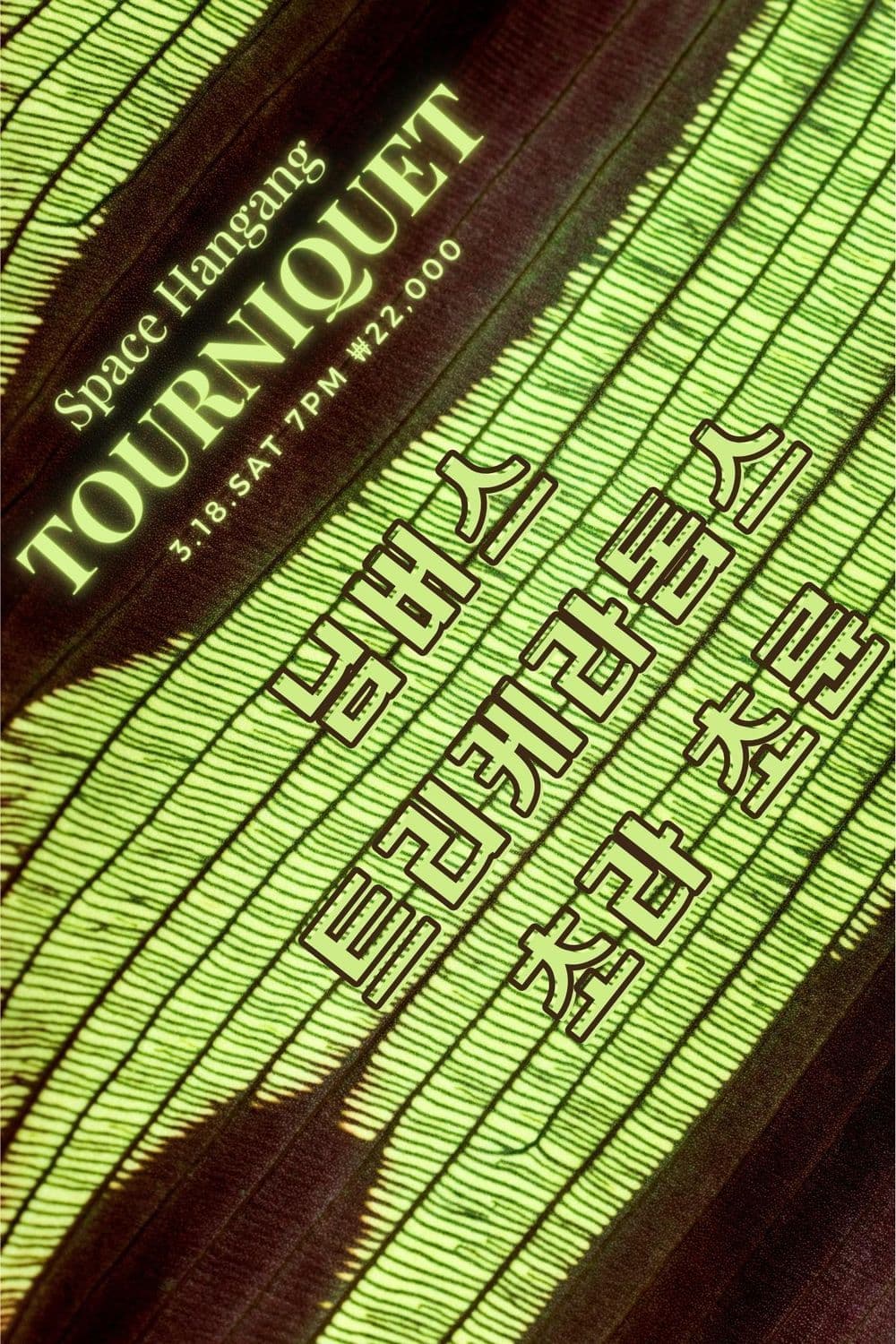 TOURNIQUET