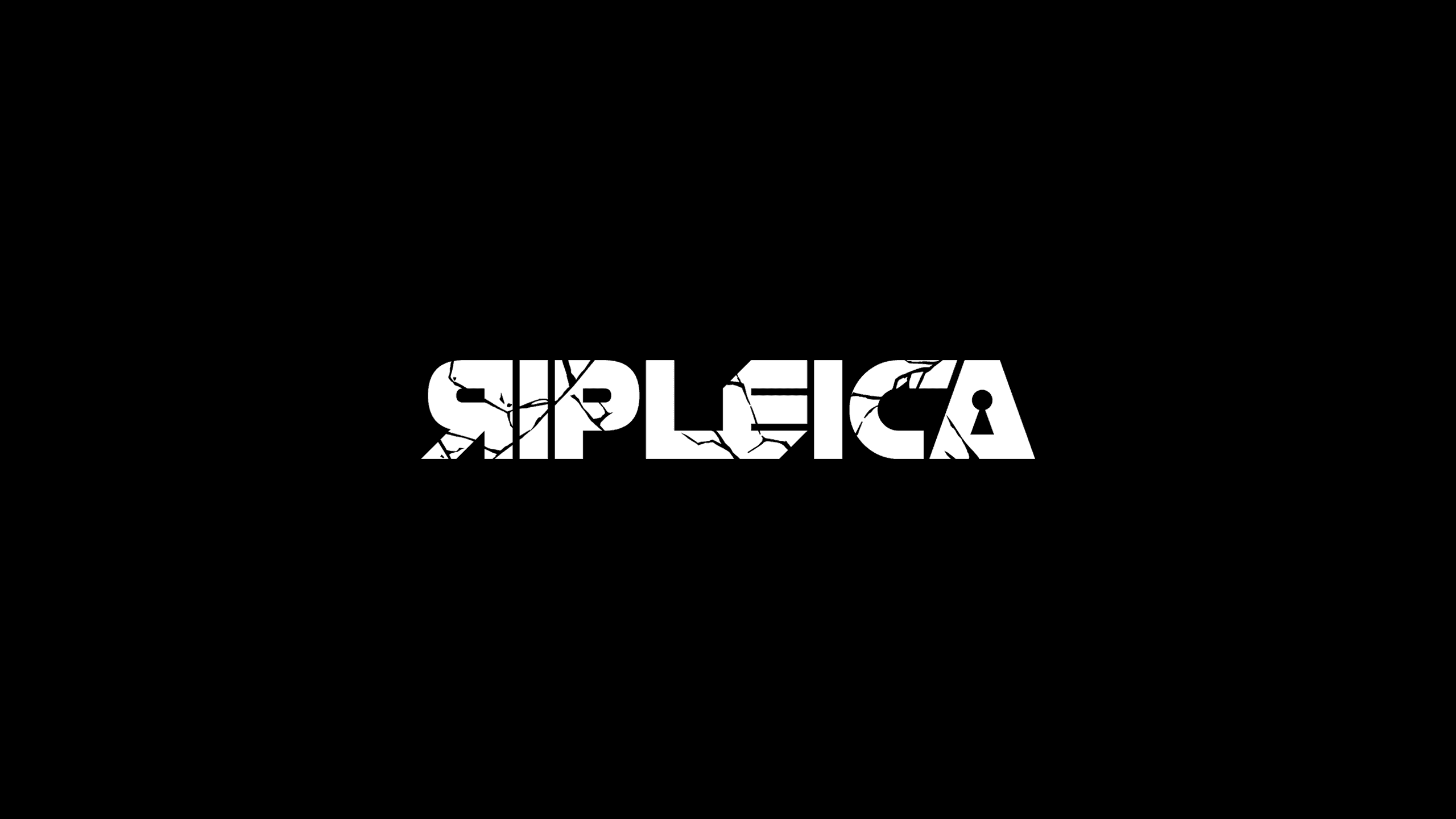 리플리카 RIPLEICA